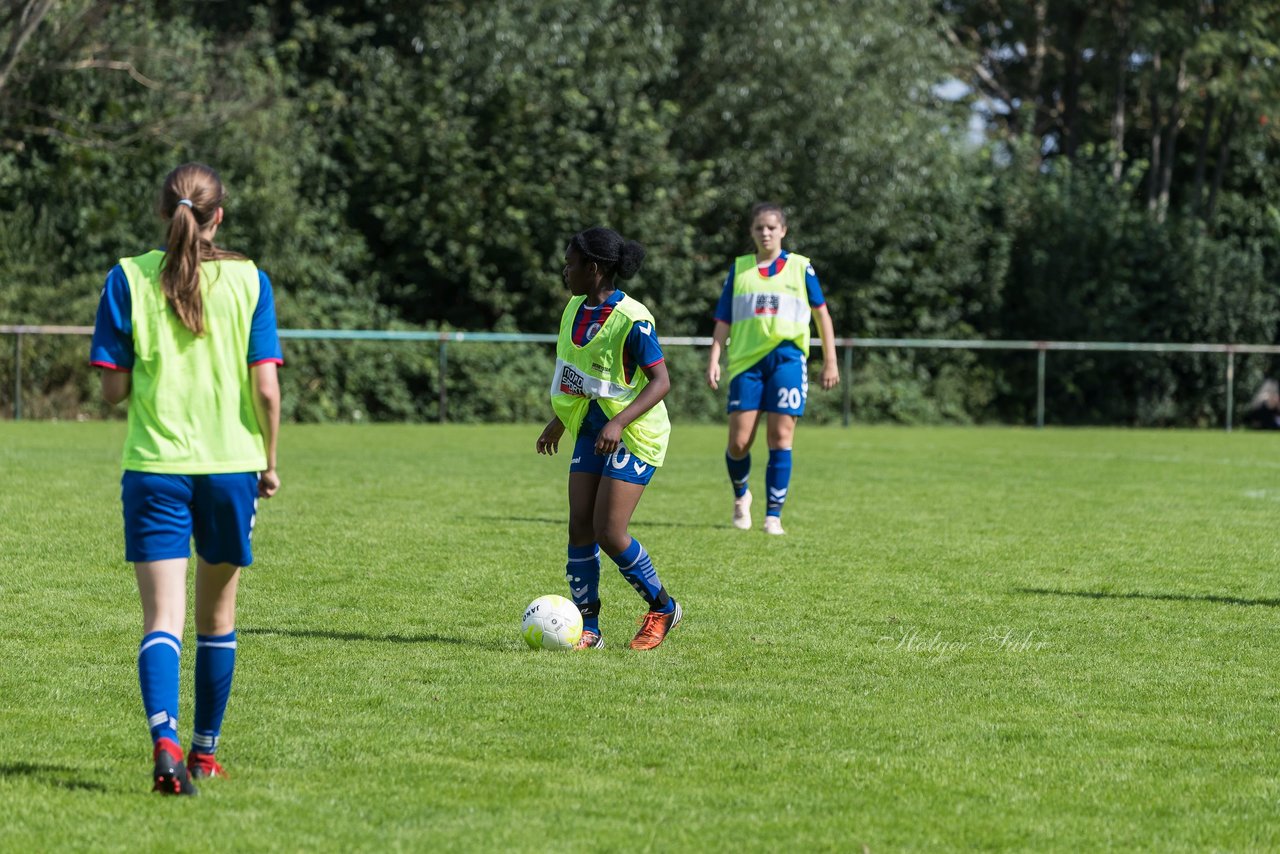 Bild 217 - B-Juniorinnen VfL Pinneberg - HSV : Ergebnis: 1:4